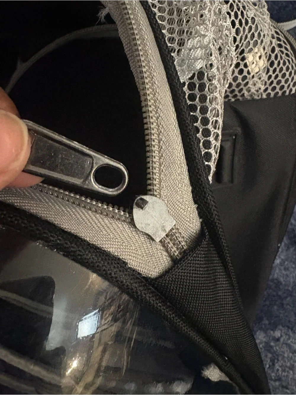 Clear back pack pet carrier